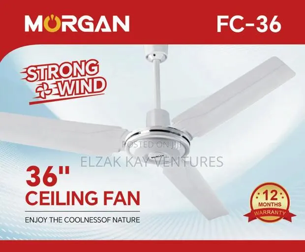 36inch Ceiling Fan · Photo 2