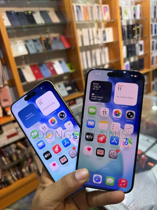 Apple iPhone 15 Pro Max 256 GB Silver · Photo 1