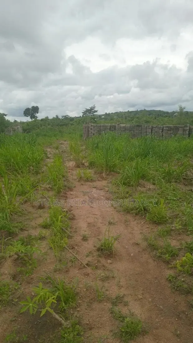 Alpha Properties Estate Land for Sale at Nsawam Otukwadzo · Photo 1