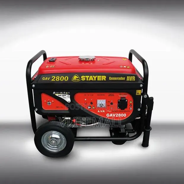 Stayer GAV 2800 E Portable Gasoline Generator: · Photo 1