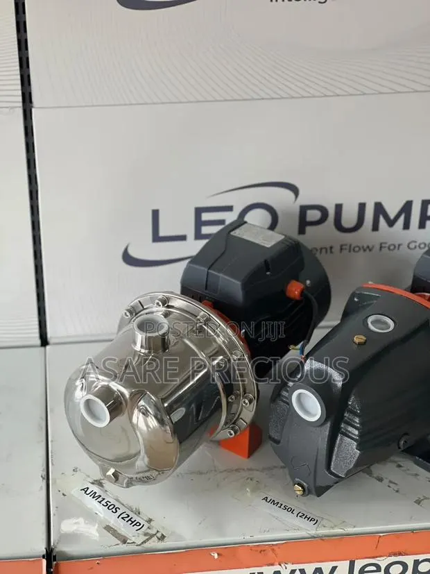 Leo Stainless Pumps · Photo 1