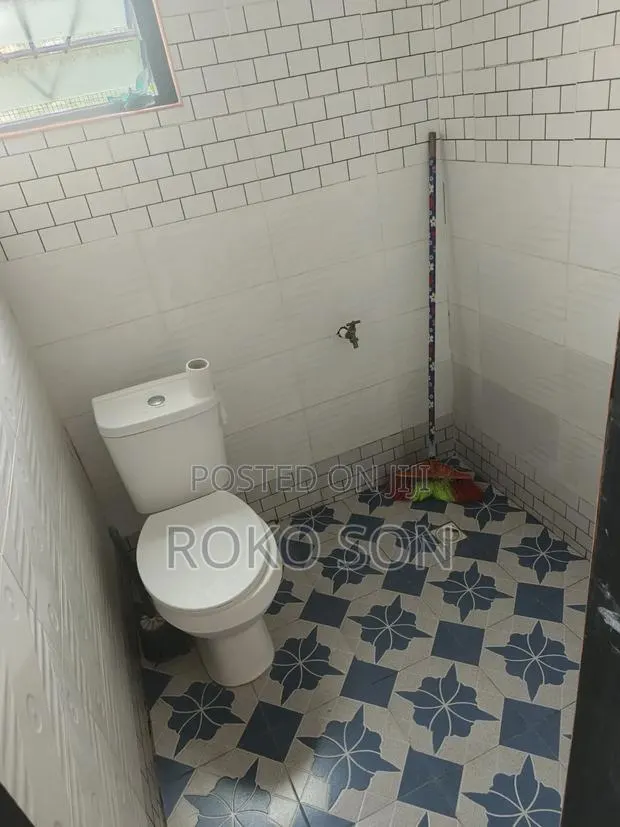 Mini Flat in Dr Roko, Manhean for rent · Photo 7