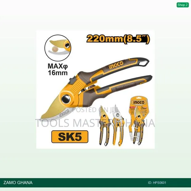 Pruning - Hps0601 · Photo 1