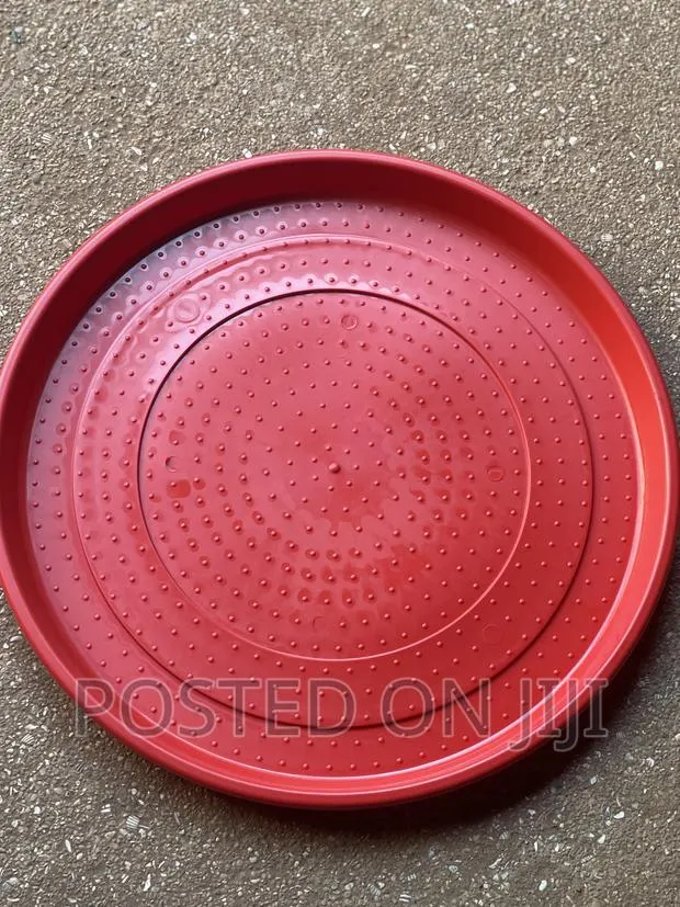 Plate/Chick Feeder · Photo 1