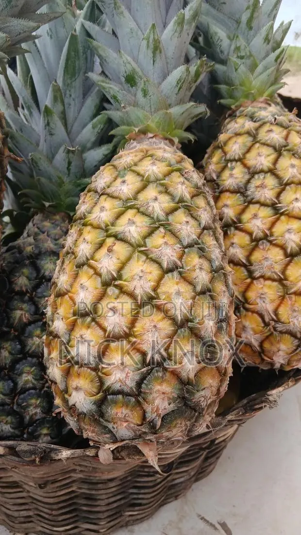 Fresh Pineapple · Photo 1