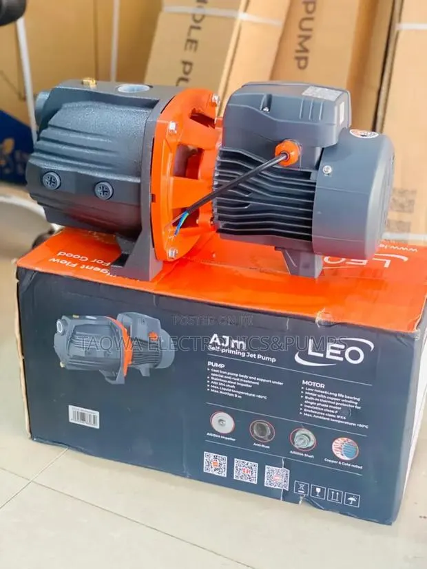 Comfortable Leo Cast 1 Hp Water Pump · Photo 1