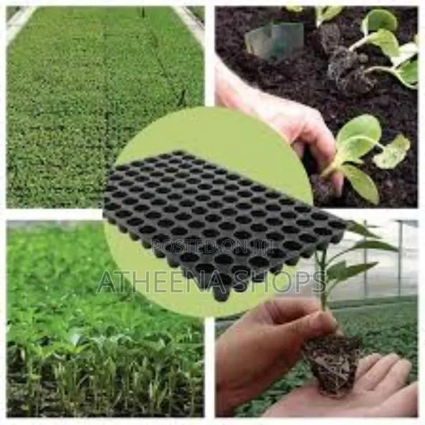 Seed Nursing Tray Good Quality · Photo 1