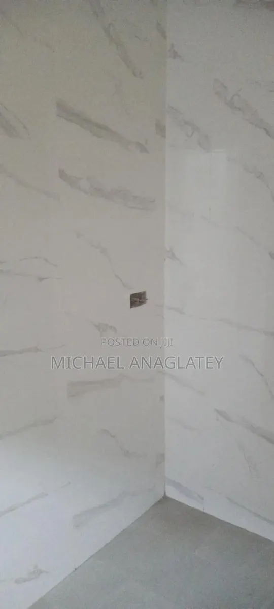 Professional Tile Layer · Photo 1