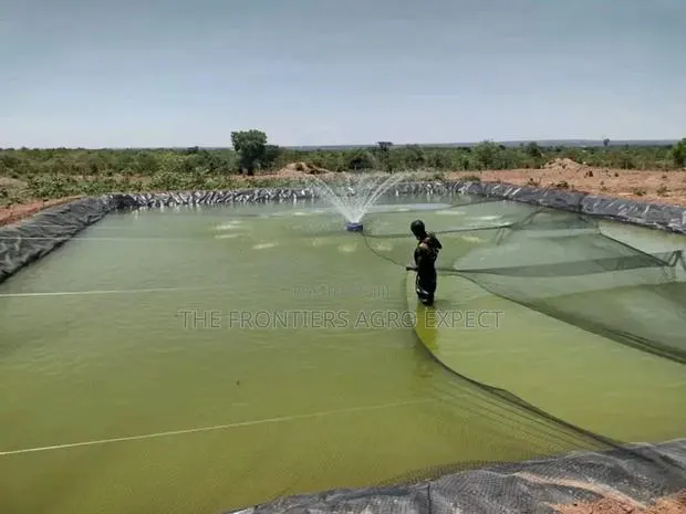 Commercial Earthen Pond · Photo 1