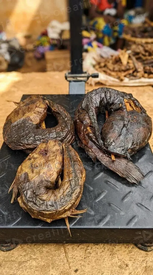 Smoked Catfish | Tilapia Available · Photo 1