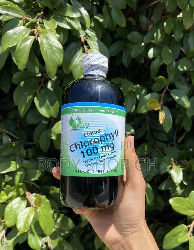 World Organics Chlorophyll Supplement Liquids, 100 Mg, 16 Fl Oz · Photo 1