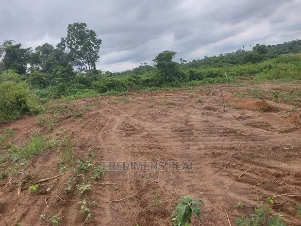 A Land at Bonwire for Sale · Photo 1