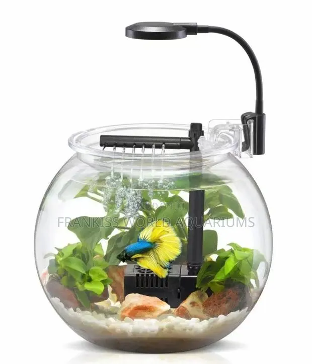Aquarium Fish Bowl · Photo 1