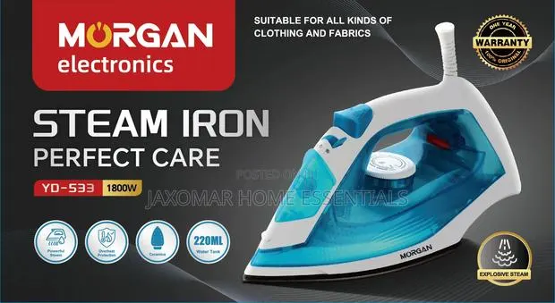 Morgan Steam Iron · Photo 1