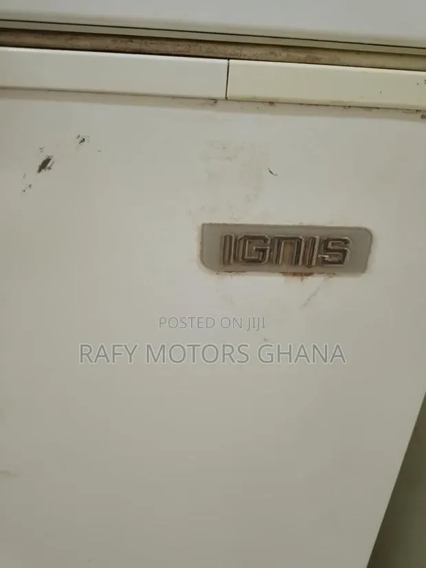 Ignis Double Door Commercial Chest Freezer – Large Capacity · Photo 1