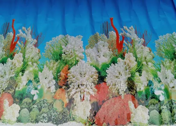 Aquarium Background · Photo 1
