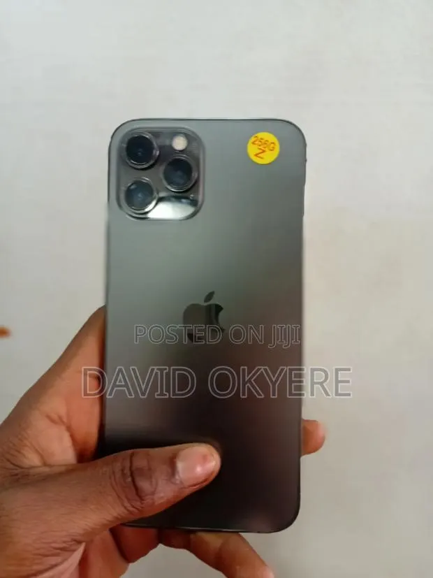 Apple iPhone 12 Pro 256 GB Gray · Photo 1