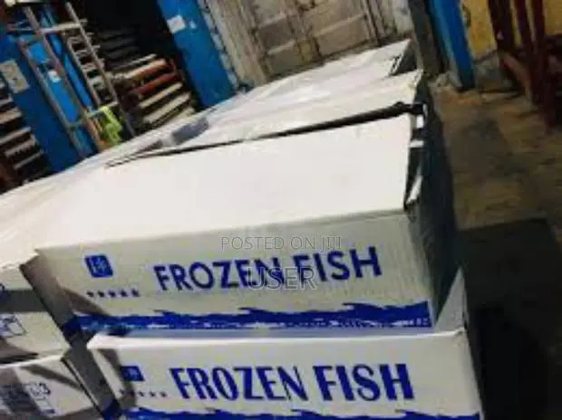 Salmon Fish Box 10kg+ 15kg+ 20kg+ · Photo 1