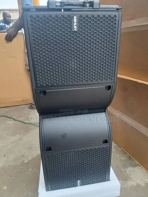 Ashley Line Array Speaker 10 Inches · Photo 7