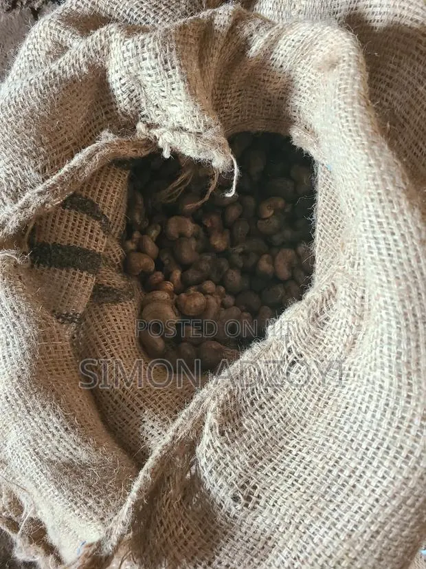 Cashew Nuts for Sale · Photo 1