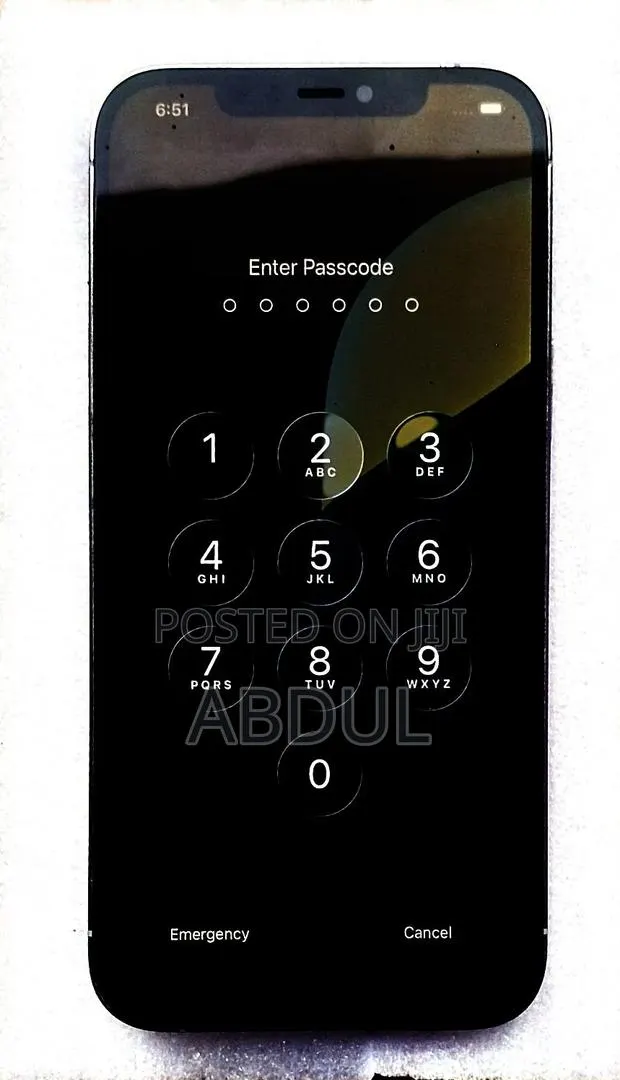 Apple iPhone 12 Pro Max 256 GB Silver · Photo 1