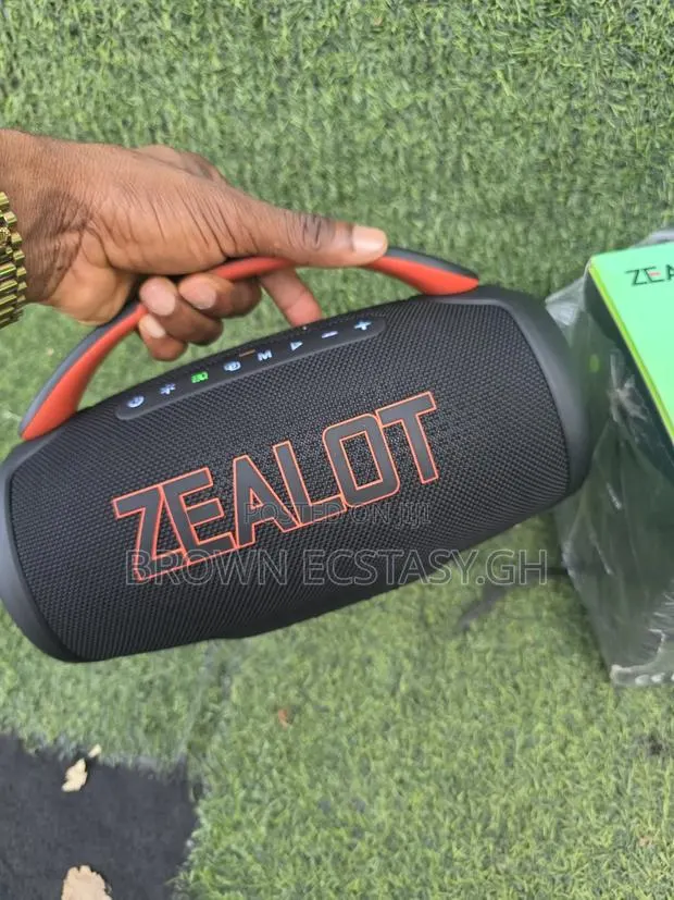 Original Zealot P12 Speaker · Photo 1