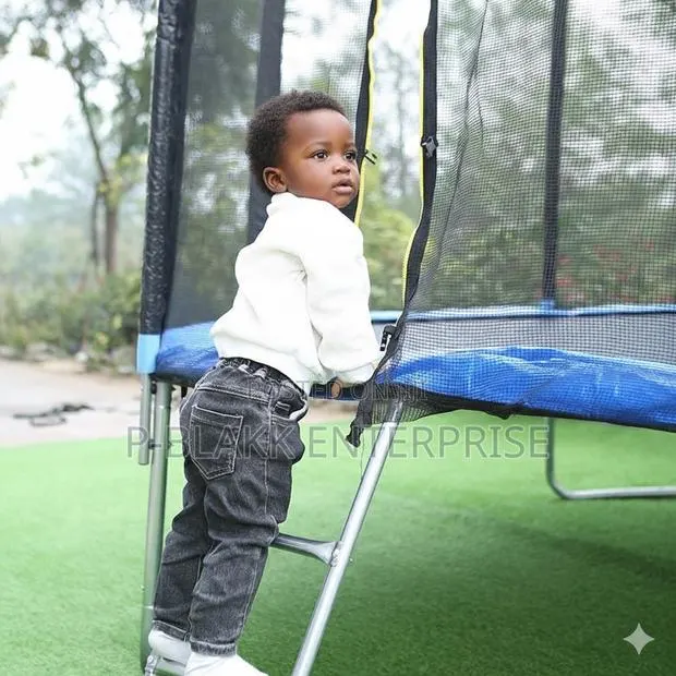 Premium 8ft or 2.44m Trampoline With Safety Ladder · Photo 2