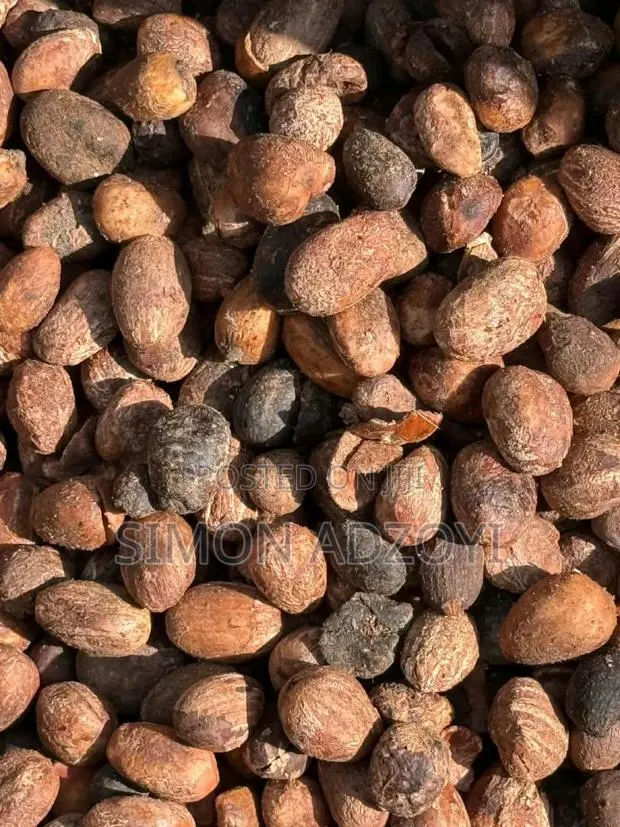 Shea Nuts for Sale · Photo 1