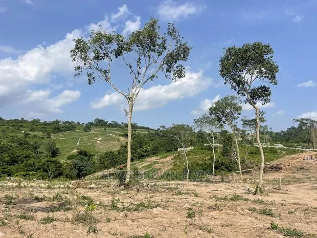 A Genuine Plots of Land for Sale at Abrui · Photo 1