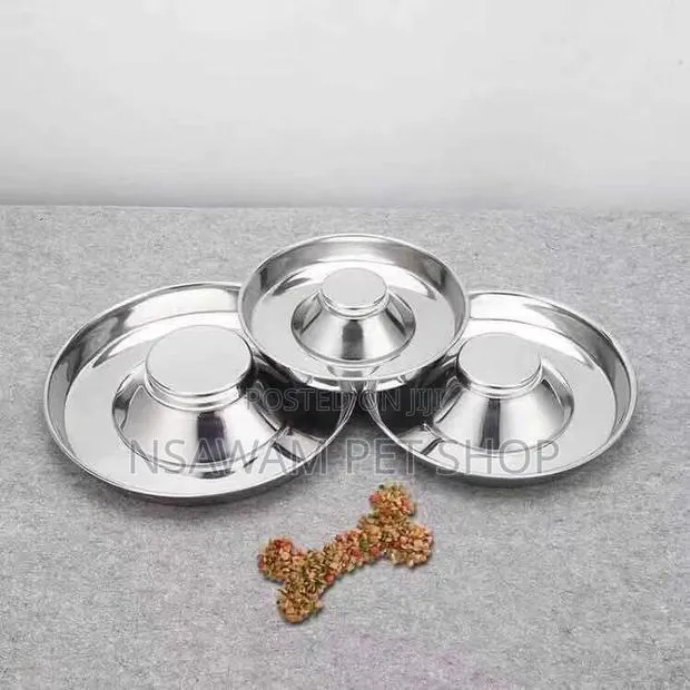 Puppy Saucer Slow Eater · Photo 1