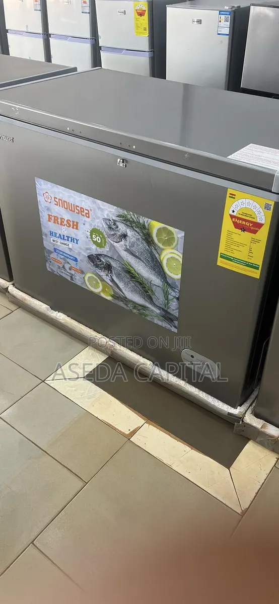 316L Chest Freezer · Photo 1