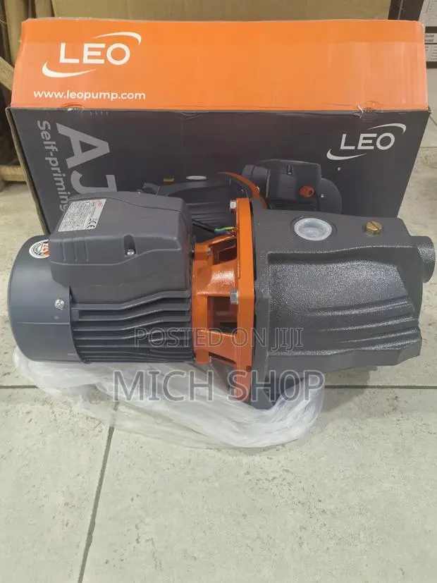 Leo Pump Cast Iron Ajm90 · Photo 1