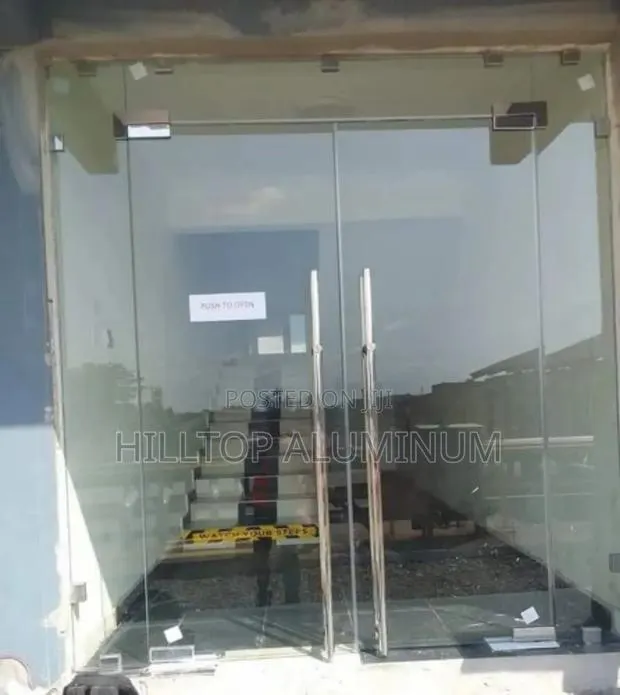Frameless Swing Door · Photo 1