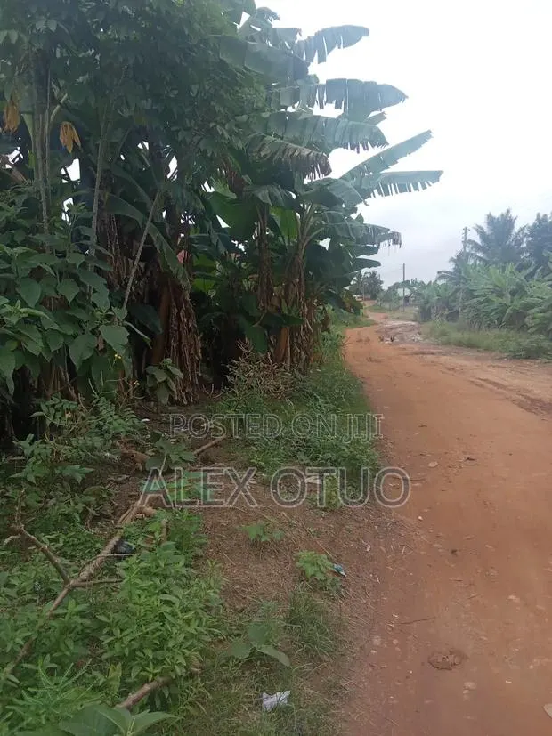 Plot of Land Good Location Akropong Daabaa · Photo 3