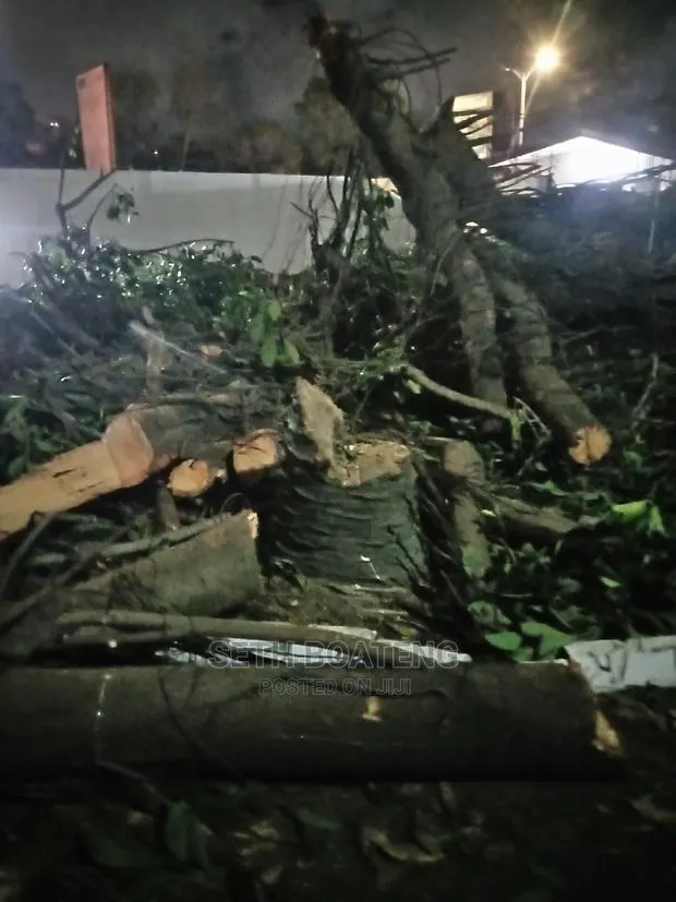 Chain Saw Operation · Photo 1
