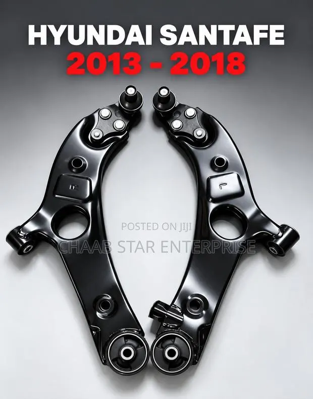 Hyundai Santafe 2013-2018 Lower Arm Pair · Photo 1