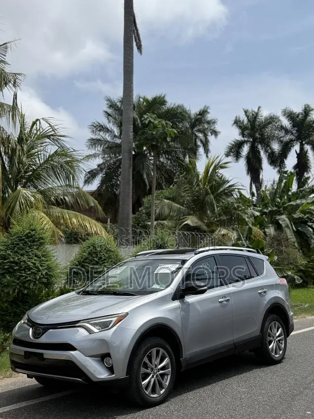 Toyota RAV4 Limited AWD (2.5L 4cyl 6A) 2016 Silver · Photo 1