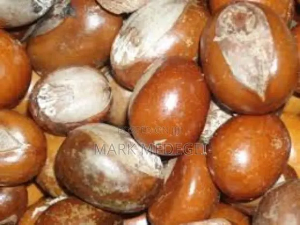 We Are Accepting Orders for the New Season Shea Nuts. · Photo 1