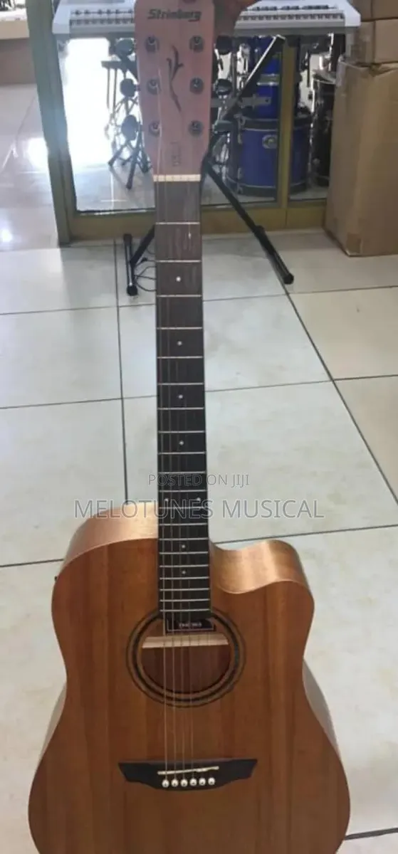 Stringberg Brown 6-String Semi-Acoustic Guitar · Photo 1
