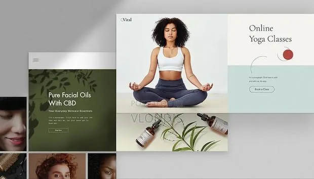 Website Developer · Photo 1