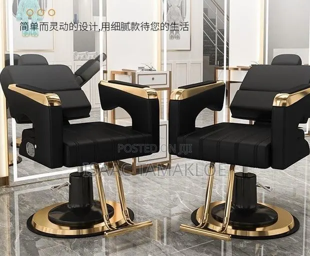 Professional Salon and Barber Chair · Photo 2