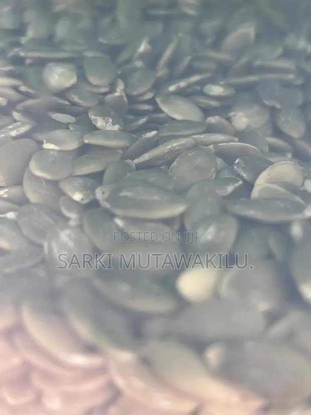 Pumpkin Seed · Photo 2