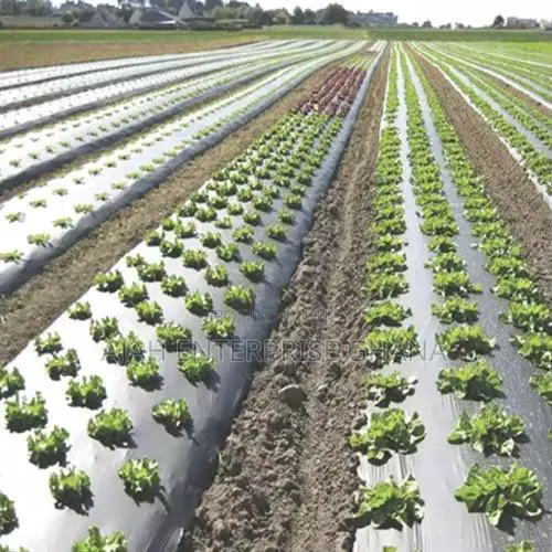 Plastic Mulch (400m) · Photo 1