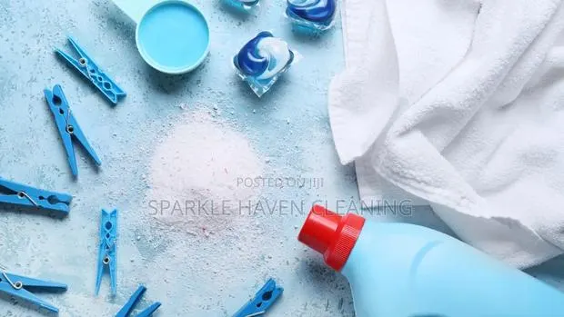 Door-to-Door Laundry and Home Cleaning Services. · Photo 1