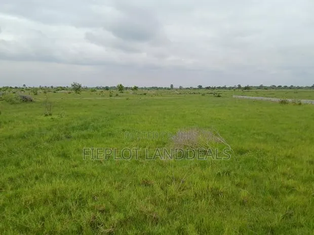 Serviced 70x50ft Half Plot for Sale at Shai Hills Dedenya · Photo 1