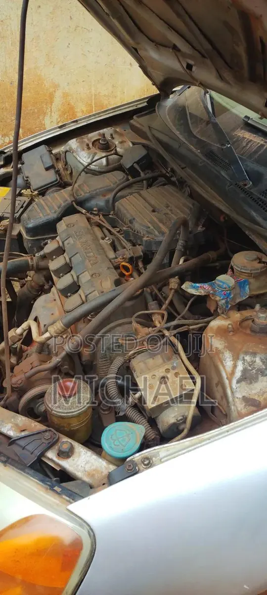 Honda Civic 2002 White · Photo 1
