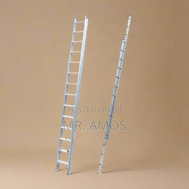 2x10 Steps Aluminum Extension Ladder - Wld8h20 · Photo 1