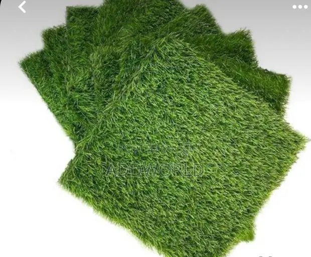 Normal Quality Grass Carpet · Photo 7