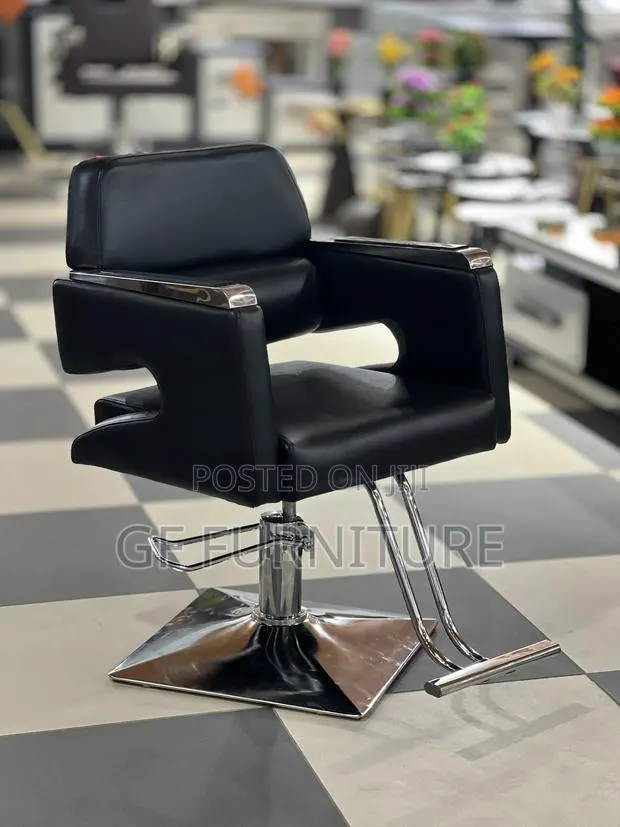 Modern Professional Salon Styling Chair · Photo 1