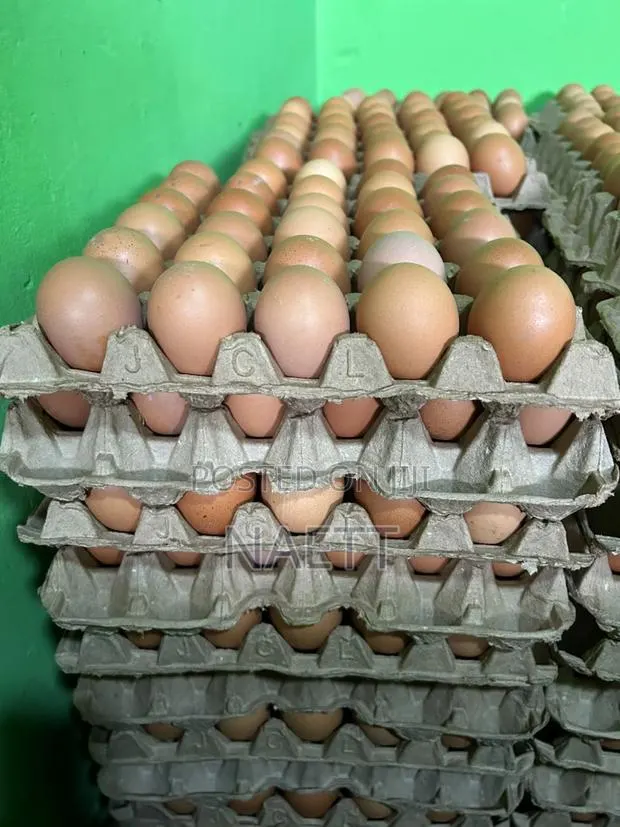 Fresh Eggs · Photo 1